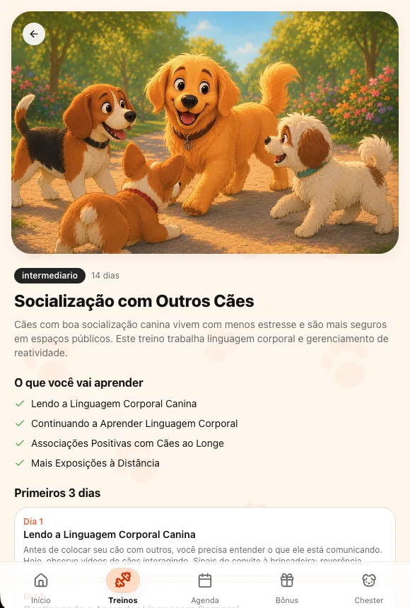 Socialização com Outros Cães