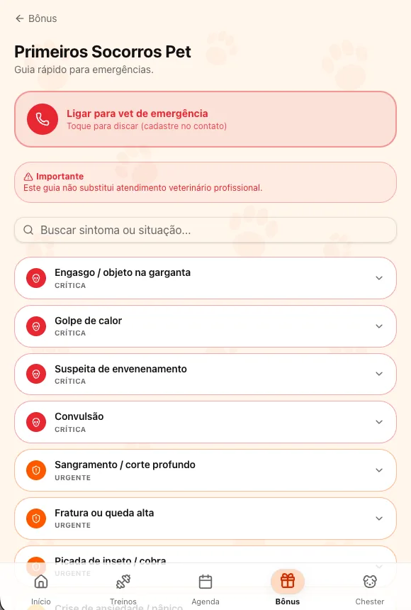 Bônus 4