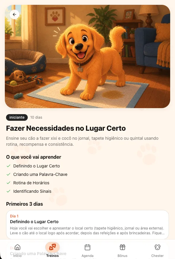 Fazer Necessidades no Lugar Certo