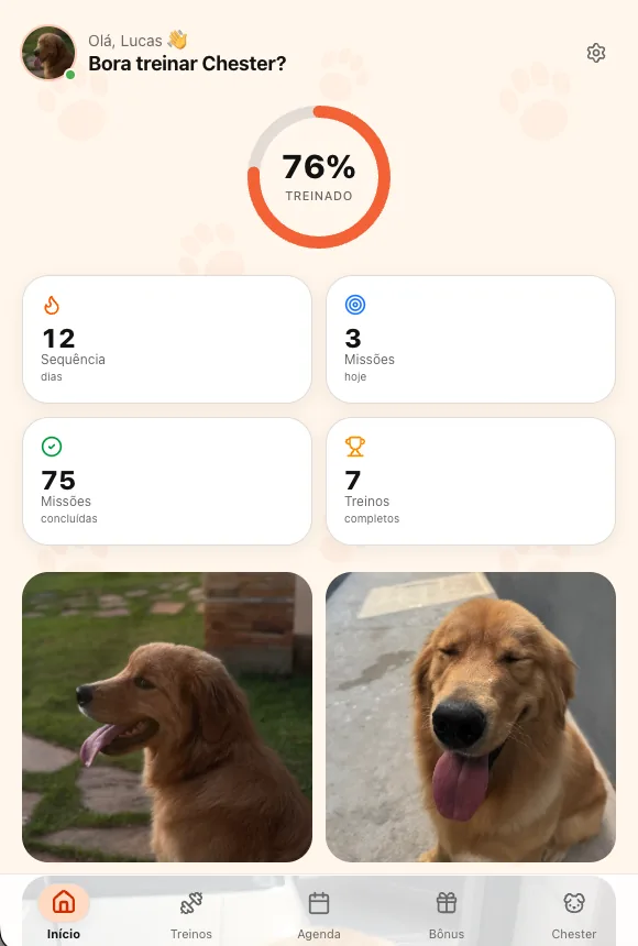 Tema personalizado no DogApp