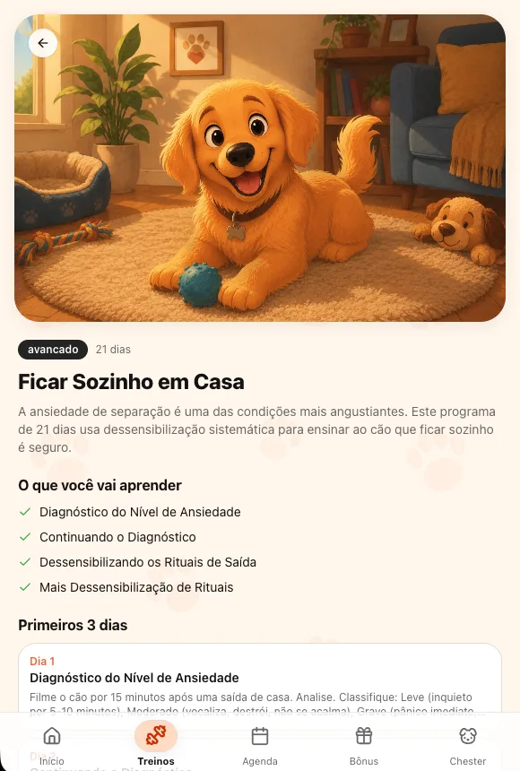 Ficar Sozinho em Casa